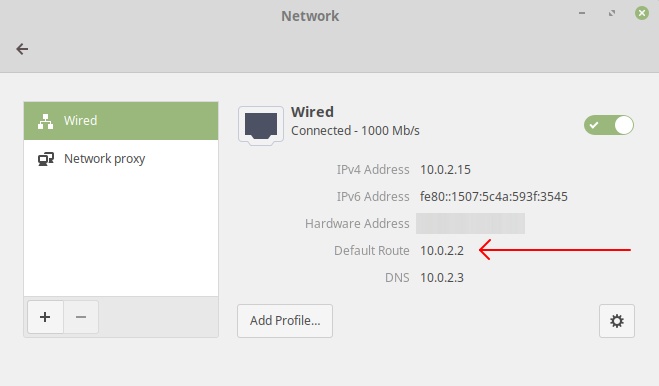 Network interface in Mint19