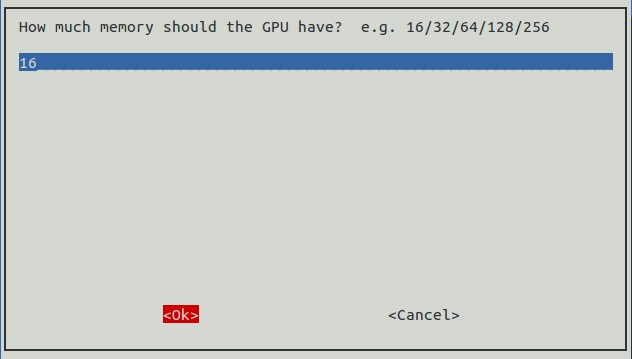 Advanced Options - GPU Memory